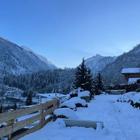 Ivy, Mountain View קפרון